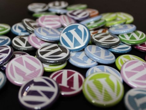 wordpress seo med TinySEO wordpress badges billede